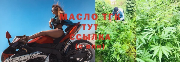 дживик Тайга