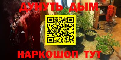 индика Ирбит
