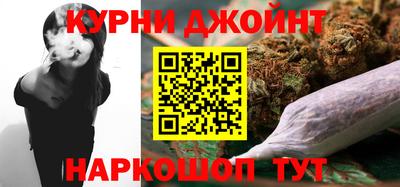 индика Ирбит