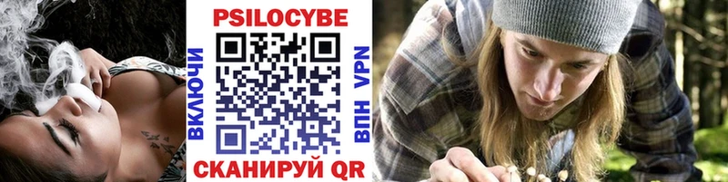 Псилоцибиновые грибы Psilocybine cubensis  Нижний Новгород 