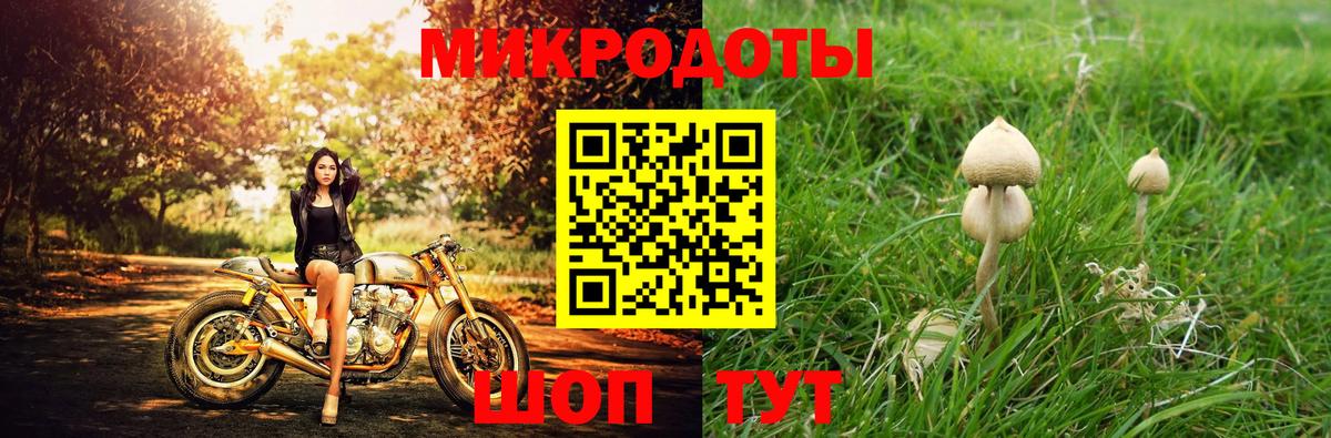 Галлюциногенные грибы ЛСД Нижний Новгород