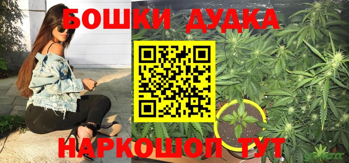 Канабис семена Нижний Новгород